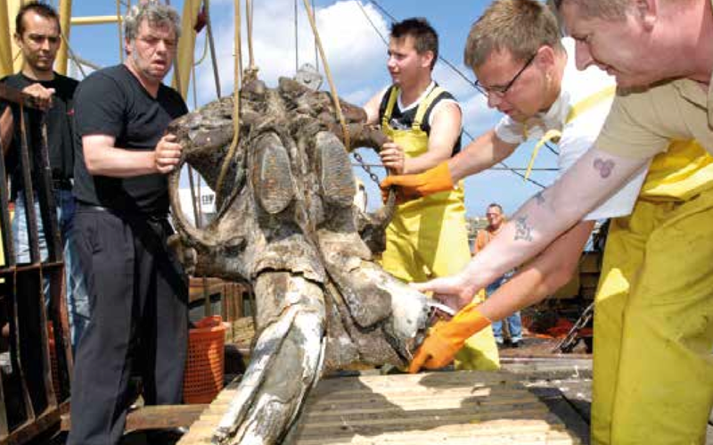 Illustration for article titled Undersea Archaeological Sites Hold Crucial Clues To Early Humans